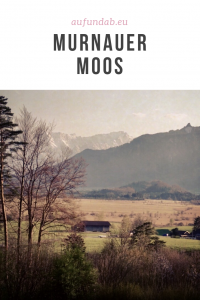 Pin Murnauer Moos