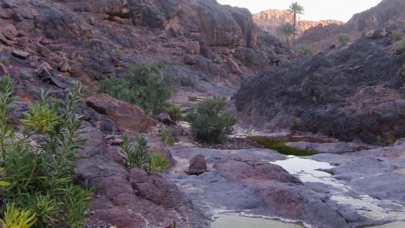 Trekking Djebel Sarhro